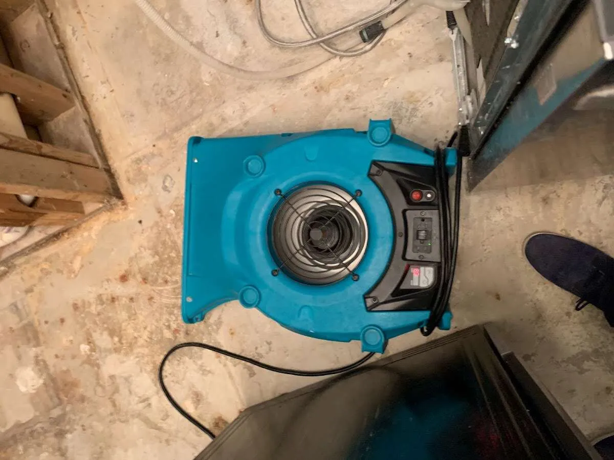 Air mover drying equipment for Mold Remediation & Removal in Ludington